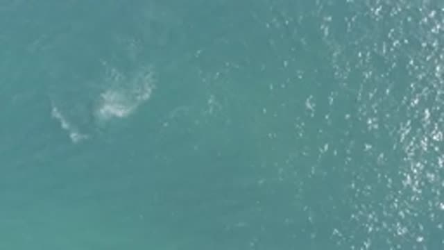 EAST CAPE BCS MEXICO-2019: A Birds Eye View Of A Large Body Of Water
