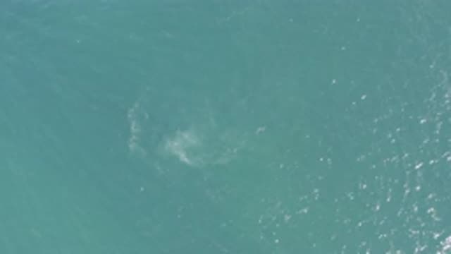 EAST CAPE BCS MEXICO-2019: An Aerial Shot Of Water With Cloudy Debris In The