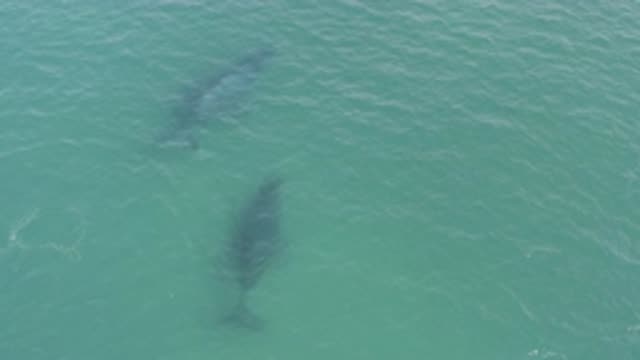 EAST CAPE BCS MEXICO-2019: Aerial View From High Above Body Of Water Revealing Underwater Shapes