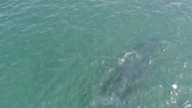 EAST CAPE BCS MEXICO-2019: Birds Eye View Over The Flowing Ocean Waves With A