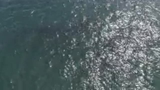 EAST CAPE BCS MEXICO-2019: View Of The Wind Hitting The Surface Of The Sea And