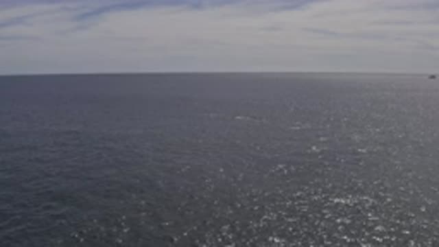 EAST CAPE BCS MEXICO-2019: Anonymous Sea Creature Rising To The Surface Of Open