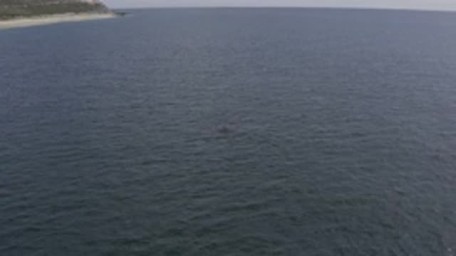 EAST CAPE BCS MEXICO-2019: Aerial Drone Footage Just Off The Coast Drone Flies