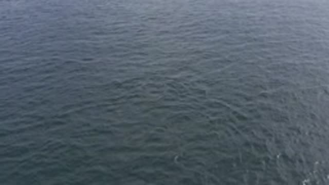EAST CAPE BCS MEXICO-2019: Weird Irregular Shape or Pattern in the Ocean Shaky
