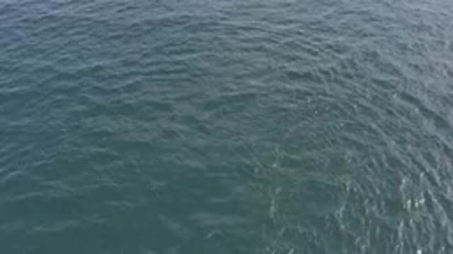 EAST CAPE BCS MEXICO-2019: Deep Dark Abyss In Which Dreams Go To Die