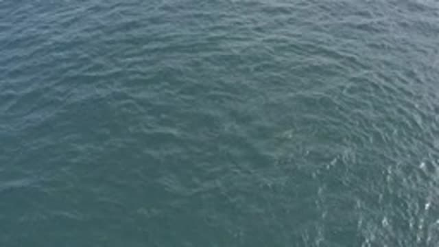 EAST CAPE BCS MEXICO-2019: Clean Water Deep Ocean