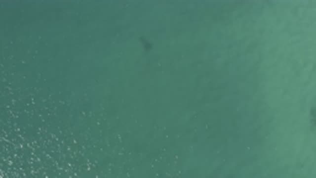 EAST CAPE BCS MEXICO-2019: Amazing Aerial Footage Of A Beautiful Ocean During