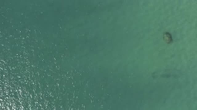 EAST CAPE BCS MEXICO-2019: Calm Waters Of Colors And Sparkling Greens Place Of