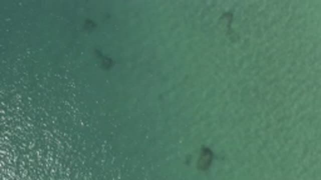 EAST CAPE BCS MEXICO-2019: Descant De Tesla Reproduce Eao Mar Com Guavas