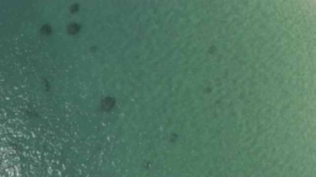 EAST CAPE BCS MEXICO-2019: Beach In Sunny Day Vision Form Above