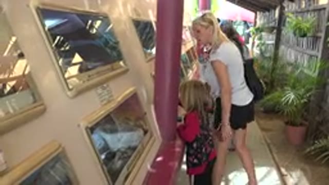 CABO SAN LUCAS MEXICO-2020: Mother And Daughter Staring At Snakes In A Zoo
