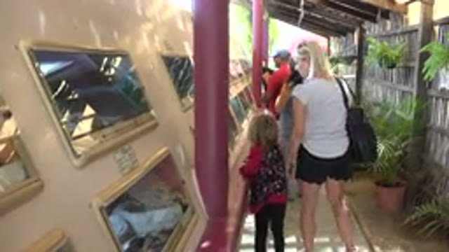 CABO SAN LUCAS MEXICO-2020: Woman Wearing White Shirt Looks At Paintings For