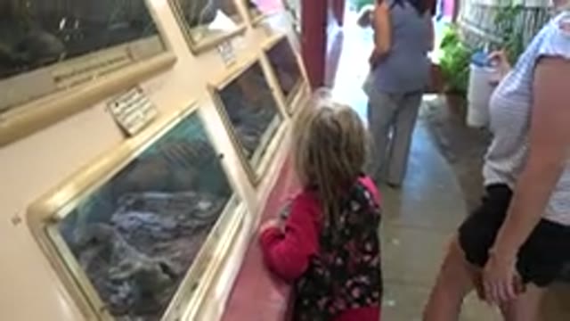 CABO SAN LUCAS MEXICO-2020: Mother And Daughter Cannot Stop Staring At The Snakes