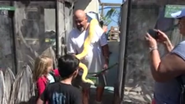 CABO SAN LUCAS MEXICO-2020: Large Python Shown to Kids at the Zoo