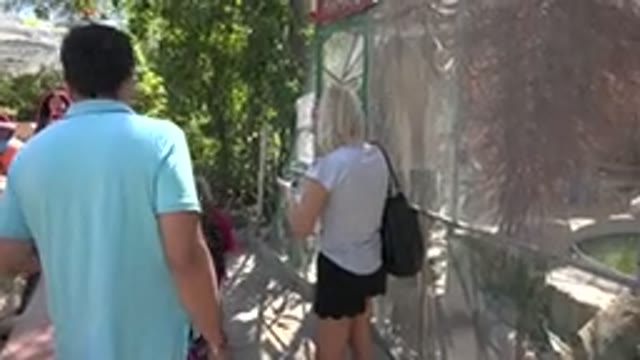 CABO SAN LUCAS MEXICO-2020: People Attending To The Zoo Admiring The Animals