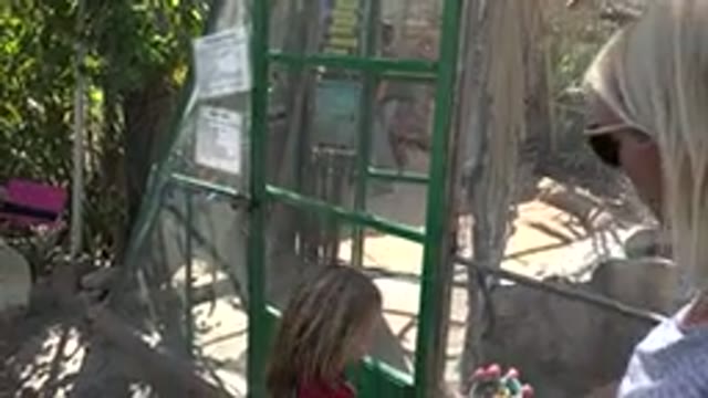 CABO SAN LUCAS MEXICO-2020: Little Blonde Girl Feeding Cute Animals At The Zoo