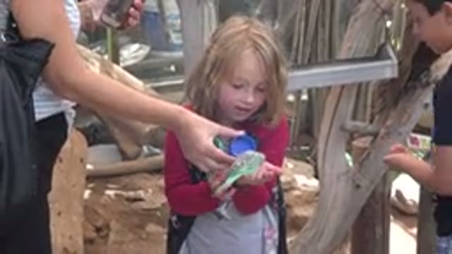 CABO SAN LUCAS MEXICO-2020: A Girl Feeds A Bird In Her Hand With The Help Of A