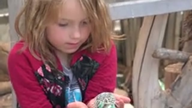 CABO SAN LUCAS MEXICO-2020: Child Holding Bird As It Eats Out Of Her Hands