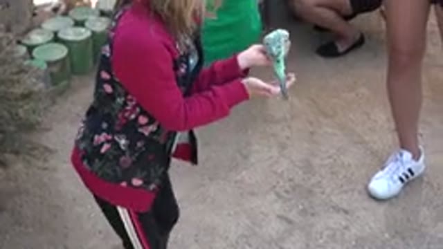 CABO SAN LUCAS MEXICO-2020: Young Girl At A Petting Zoo Feeding A Bird From Her Hand