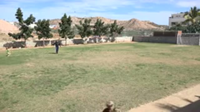 LOS CABOS MEXICO-2019: Many Small Children Running Around A Grass Soccer Field