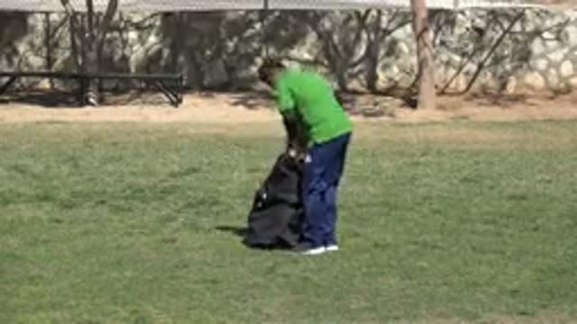 LOS CABOS MEXICO-2019: Man In A Field Extracting Cones From A Black Bag