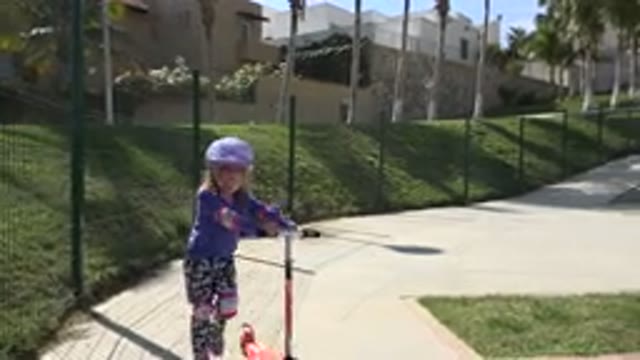 LOS CABOS MEXICO-2019: Child Walking Their Dog on Playground Dog Catches Ball