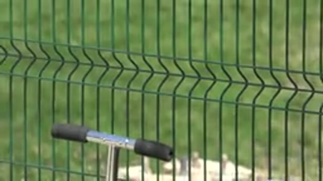 LOS CABOS MEXICO-2019: Girl Playing With Mom And Dog At The Park