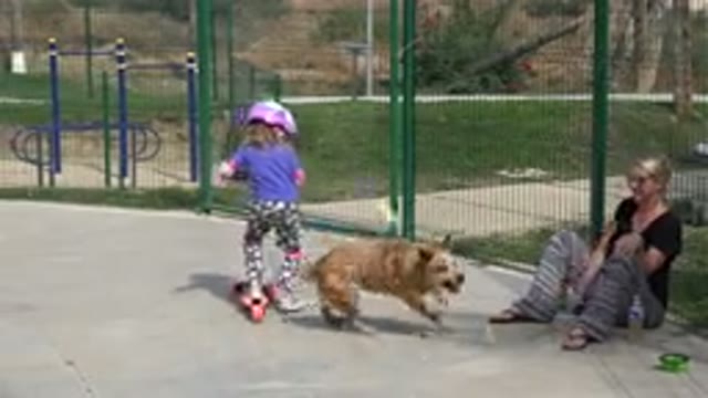 LOS CABOS MEXICO-2019: Blonde Girl Riding Scooter With Dog Playing Fetch In