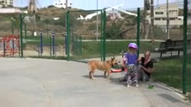 LOS CABOS MEXICO-2019: Mother And Daughter Play With Dog Outside