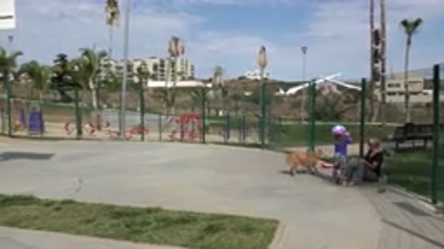 LOS CABOS MEXICO-2019: Mother And Daughter Play In The Park With Their Dog