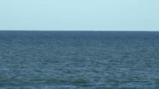 LOS CABOS MEXICO-2019: One Calm Blue Sea Then A Stingray Appears