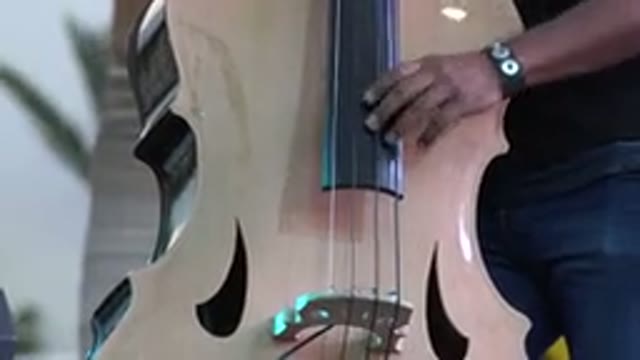 LOS CABOS MEXICO-2019: Man Dressed In Jeans And A Black T-Shirt Plucks Upright Bass