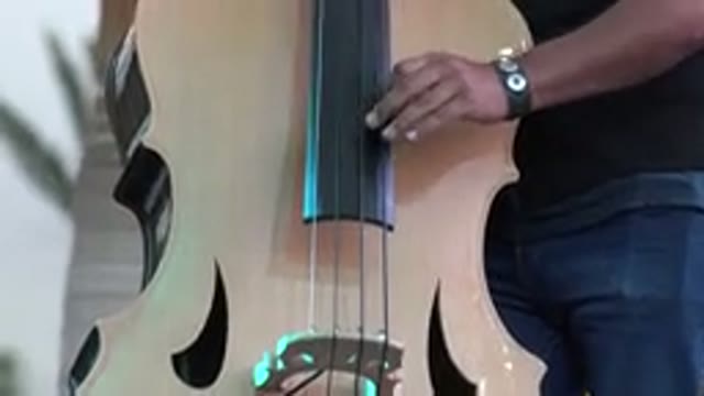 LOS CABOS MEXICO-2019: Close Up Of A Man Hands Plucking A Double Bass
