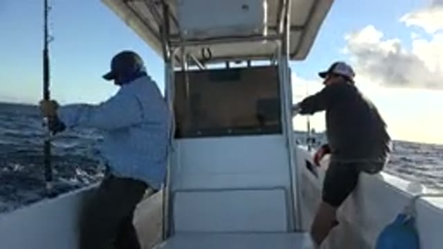 LOS CABOS MEXICO-2019: Man Wearing Light Blue Shirt Places Fishing Pole In Holder On Boat
