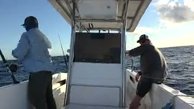 LOS CABOS MEXICO-2019: Live Recording Of Ocean Tuna Fishing