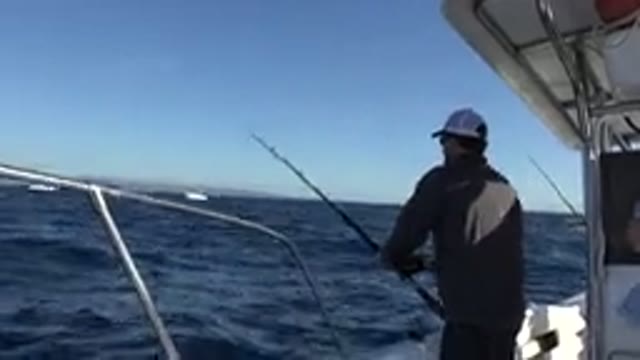 LOS CABOS MEXICO-2019: A Beautiful Day of Fishing High-Seas with Clear Sky