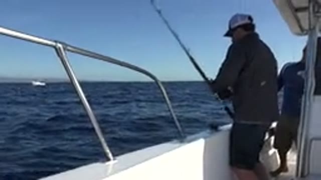 LOS CABOS MEXICO-2019: Man Rod And Reel Fishing From Boat Reeling In Fish