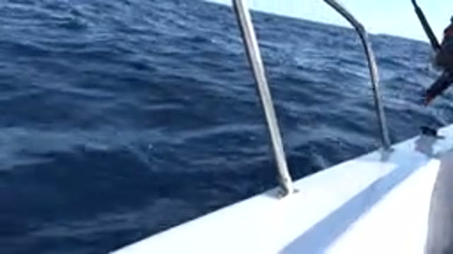 LOS CABOS MEXICO-2019: Three Men On A Boat Fishing One Reels In A Fish