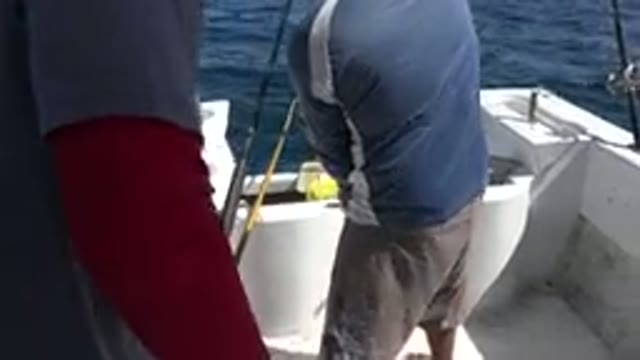 LOS CABOS MEXICO-2019: How To Kill A Fish Correctly