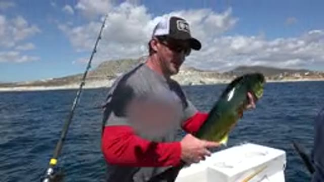 LOS CABOS MEXICO-2019: Sport Fishing Is One Of The Sports That Has Been Growing