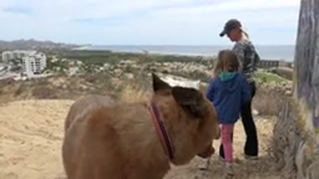 LOS CABOS MEXICO-2019: On A Sunny Day Mother And Daughter Make An Excursion With