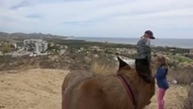 LOS CABOS MEXICO-2019: Mom And Daughter Searching Near Ocean With Dog