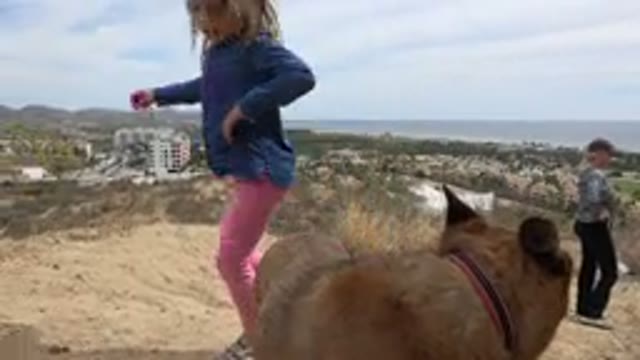 LOS CABOS MEXICO-2019: Family Walking In Nature With Dog