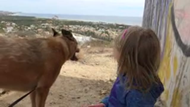 LOS CABOS MEXICO-2019: The Little Girl Enjoying Her Time With Her Beautiful Pet