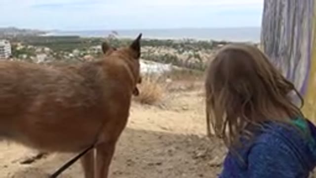 LOS CABOS MEXICO-2019: A Child Sits Watching As A Dog On A Leash Walks Away