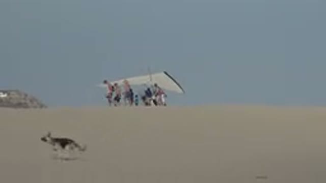 LOS CABOS MEXICO-2019: A Group of Beachgoers Walk Past a Powered Hang Glider
