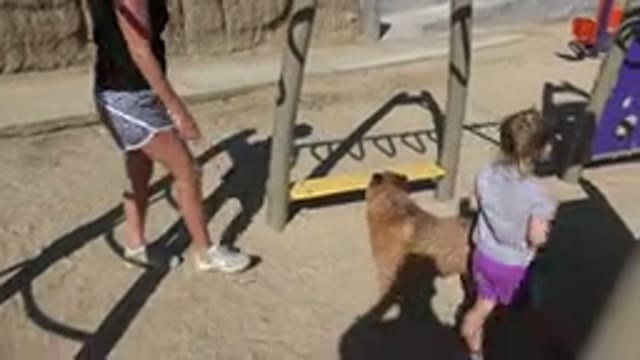 SAN JOSE DEL CABO MEXICO-2019: Little Girl Accompanied By Woman And Dog Searches