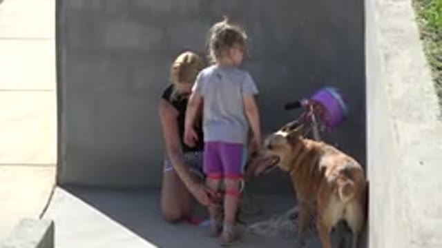 SAN JOSE DEL CABO MEXICO-2019: Two Girls Playing with Dog on Summer Pavement