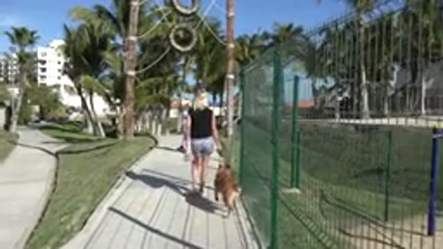 SAN JOSE DEL CABO MEXICO-2019: Blonde Woman Walking Her Yellow Dog And A Child