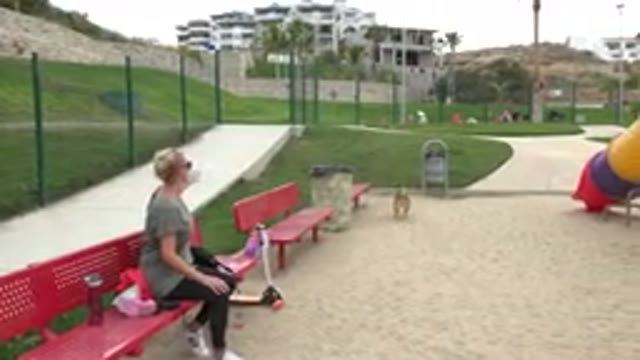 SAN JOSE DEL CABO MEXICO-2019: Woman At A Playground Accidentally Throws A Frisbee Into Trashcan